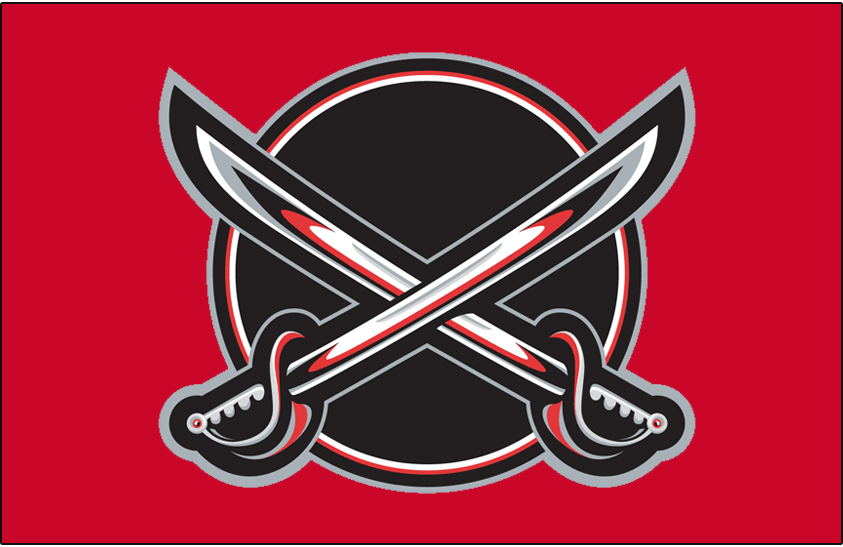 Buffalo Sabres 2000-2006 Jersey Logo fabric transfer